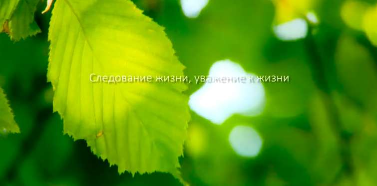 币游AG旗舰厅集团形象片（русский）